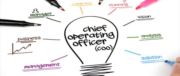 The Role Of Chief Operational Officer Or Coo Beyorch
